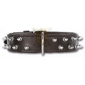 Collier Cuir pour Chien Clouté Doxtasy Double Spike