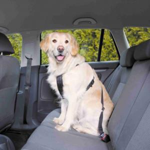 Harnais De Sécurité Auto Pour Chien Taille L - Pour Attache Ceinture Voiture Et Laisse Promenade - Zolux