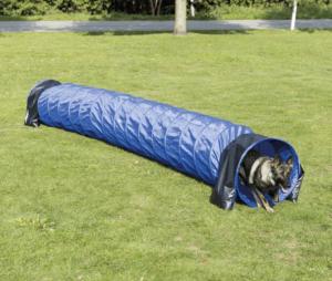 Tunnel d'agility pour Petits Chiens
