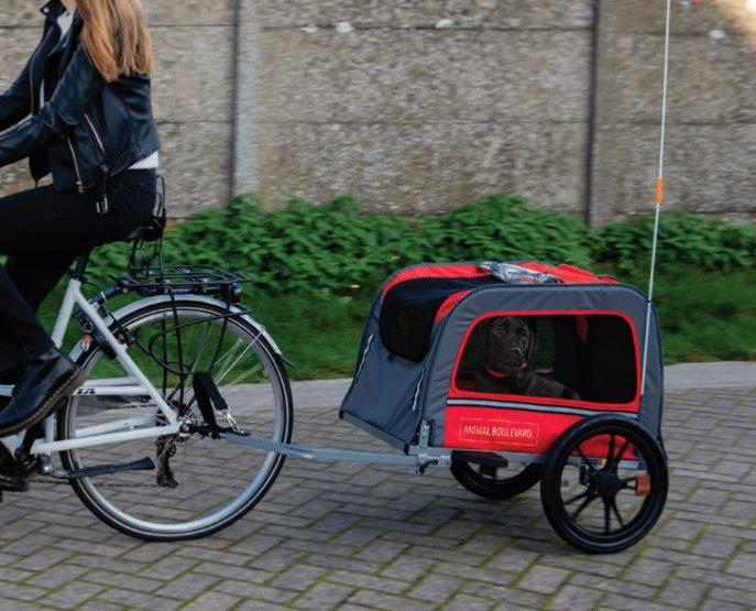 🐕 Remorque Vélo pour Chien Animal Boulevard