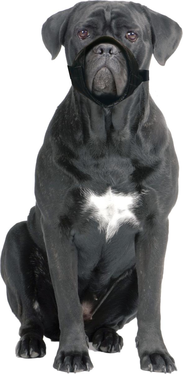 Muselière pour chien en nylon noir