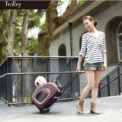 Trolley pour Chien 4 en 1 Chocolat -Innopet