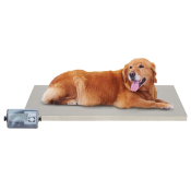 Balance Electronique pour Chiens et Chats - Phoenix