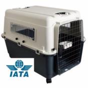 Cage de Transport pour Chien Kennel Taille 5, L