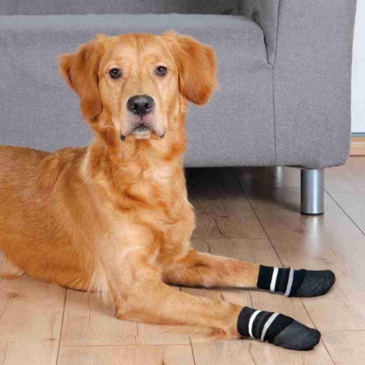 PET ACCESSOIRE,Bleu-S--Chaussettes de noël à carreaux antidérapantes pour  chiot, 4 pièces, mignonnes, chaudes, en tricot, pour anima - Cdiscount