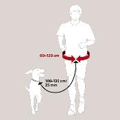 Ceinture et Laisse Jogging pour Chien - Trixie