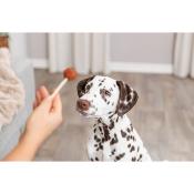Lolly au Cabillaud et Peau de Buffle pour Chiens 9 cm pour Chien - Trixie