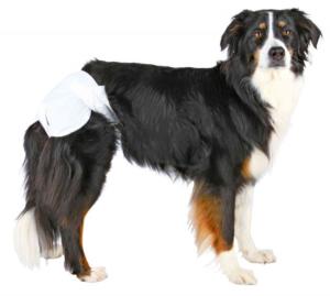 Couches pour Chiens  Femelles 
