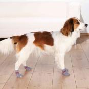 Chaussettes pour Chiens Antidérapantes