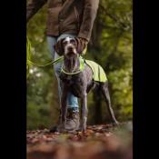 Gilet de Sécurité Wasyl Jaune Fluo, pour Chiens