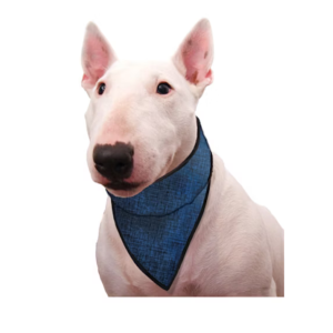 Bandana Rafraîchissant Bleu pour Chien - Aqua Coolkeeper