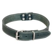 Collier Cuir Gras pour Chiens
