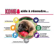 Kong Pneu - Jouet pour Chiens