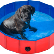 Piscine 80cm pour chiens-Animal Boulevard