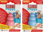 Kong Puppy - Jouet pour Chiens