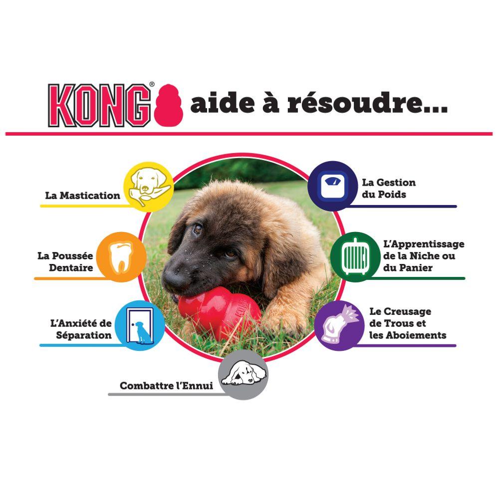 Éducation chiot - Jouets pour chien