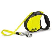 Flexi Neon M avec corde de 5 m- Flexi