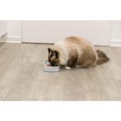 Gamelle Anti-glouton Plastique pour Chat - 250 ml