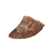 Sabot de Veau XL pour Chiens - Bubimex