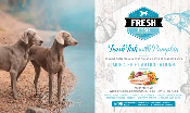 Brit Fresh Adult Grand Chiens - Poisson et Citrouille