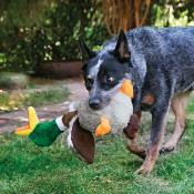 Kong Peluche Canard - Jouet pour Chiens