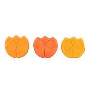 Friandise Sablé Tulipe pour Chiens - Trixie
