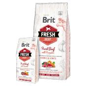 Brit Fresh Puppy Grand Chiens - Boeuf et Citrouille